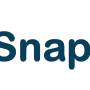 snapper_1_1024x356.jpg